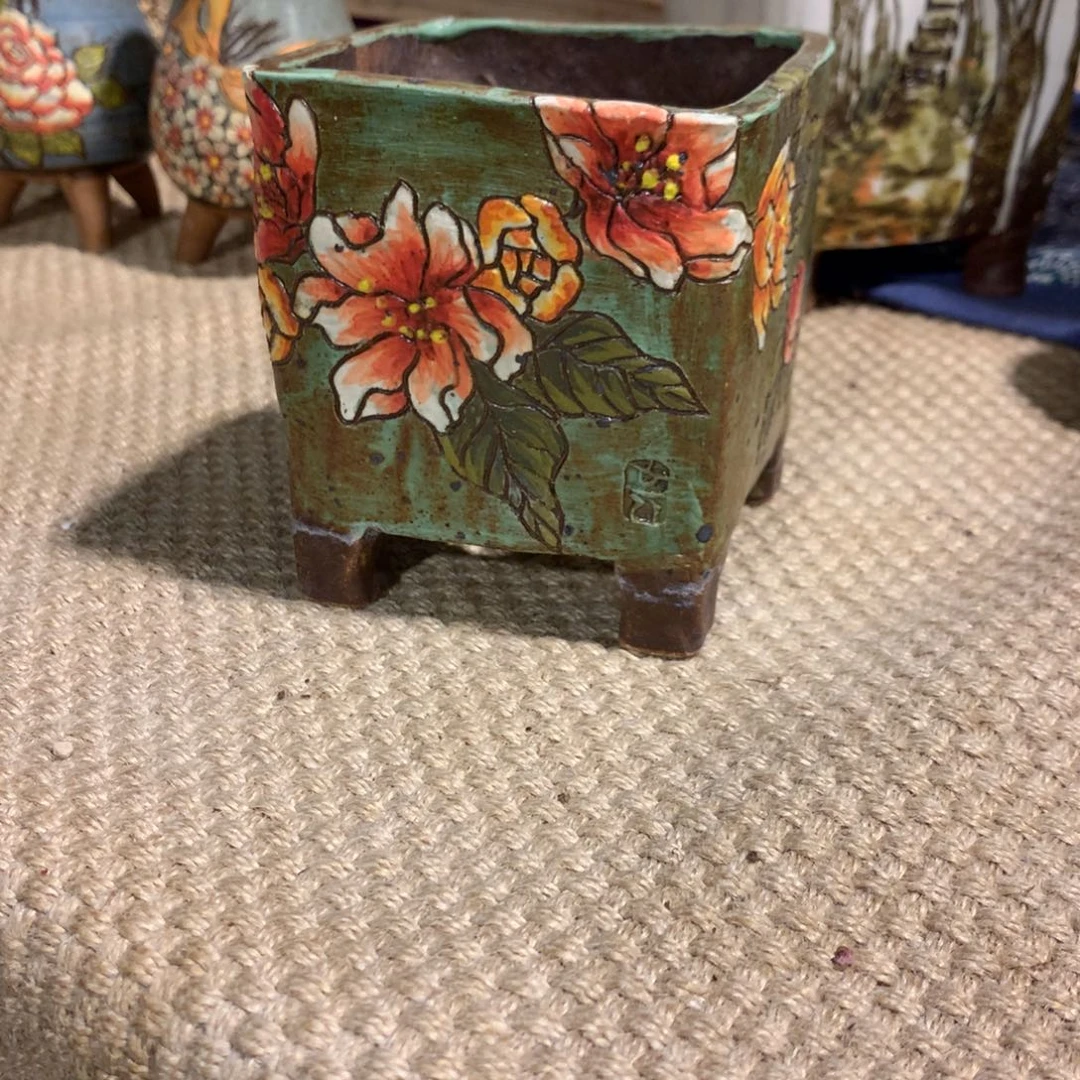 不****了首富酥皮鸭花盆多肉花盆