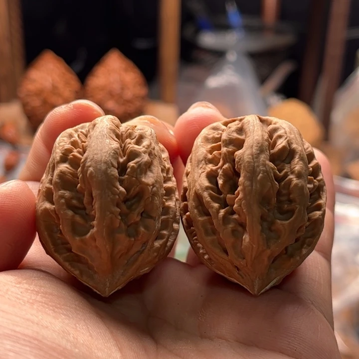 文玩核桃把件楸大胖63