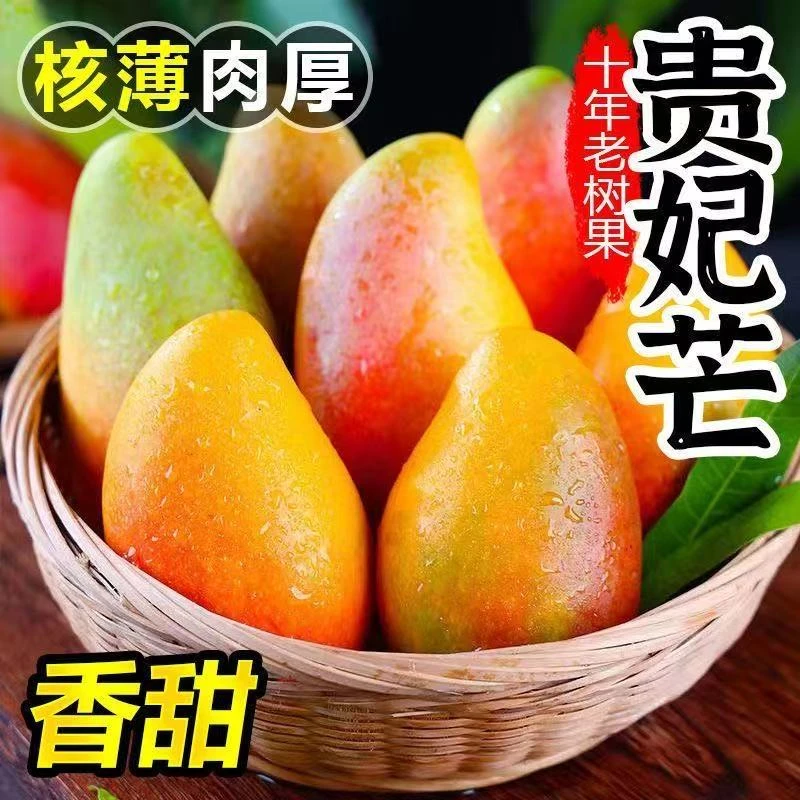 H【放熟吃】广西贵妃芒果香甜大芒当季水果红金龙芒新鲜现摘 SS