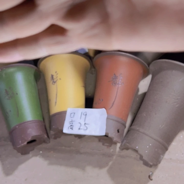 周深周深周深周深周深