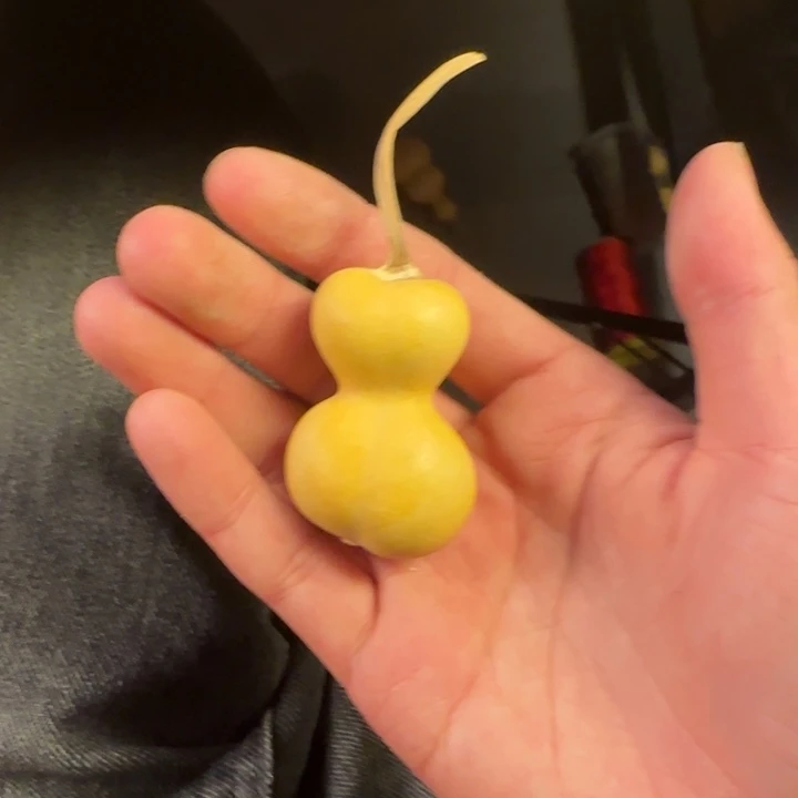 王***利大叶紫檀（黑酸枝木类）