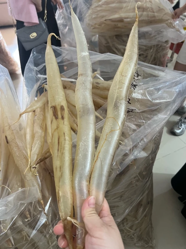 50-60头鳗鱼胶花胶干货滋补海产品