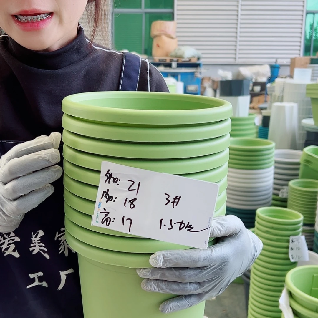 四季盆3#果绿10个无托