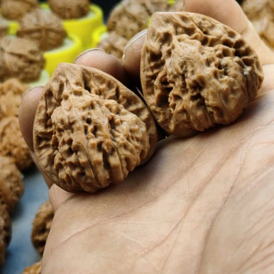 大叶紫檀（黑酸枝木类）麒麟纹官帽三角