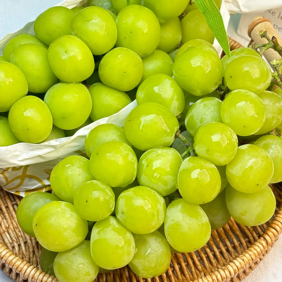 福建阳光玫瑰纯甜无酸花香气浓郁不齁甜生态种植绿色认证小颗粒