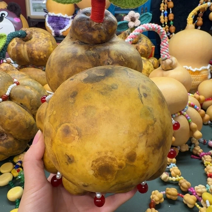 流***9哈哈好看的厚皮乌龟