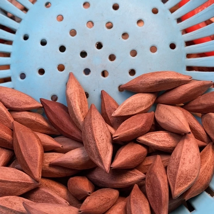 吊坠橄榄核进****影