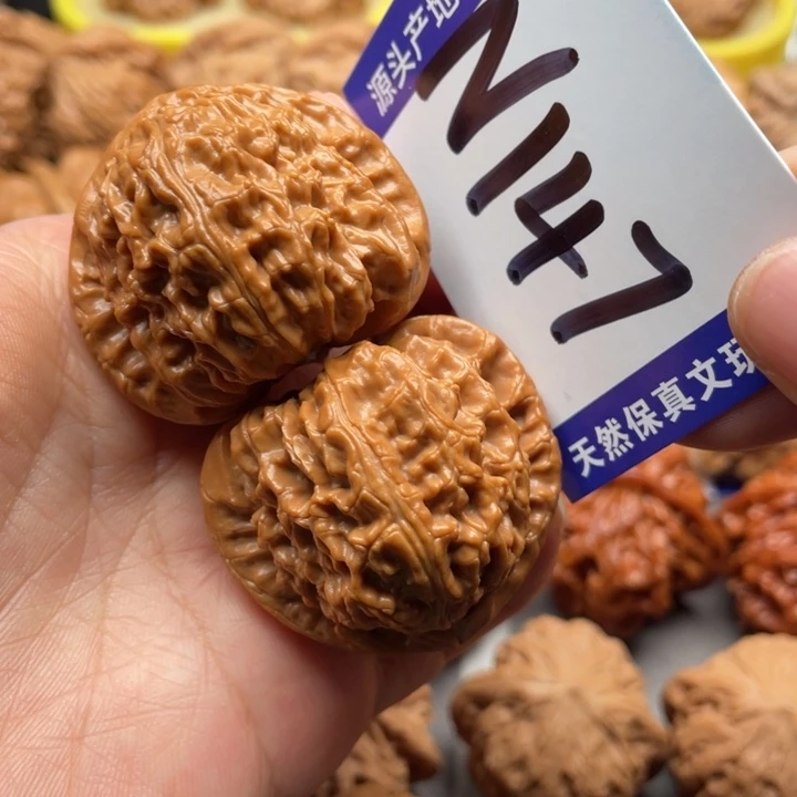 把件文玩核桃白狮子40尺