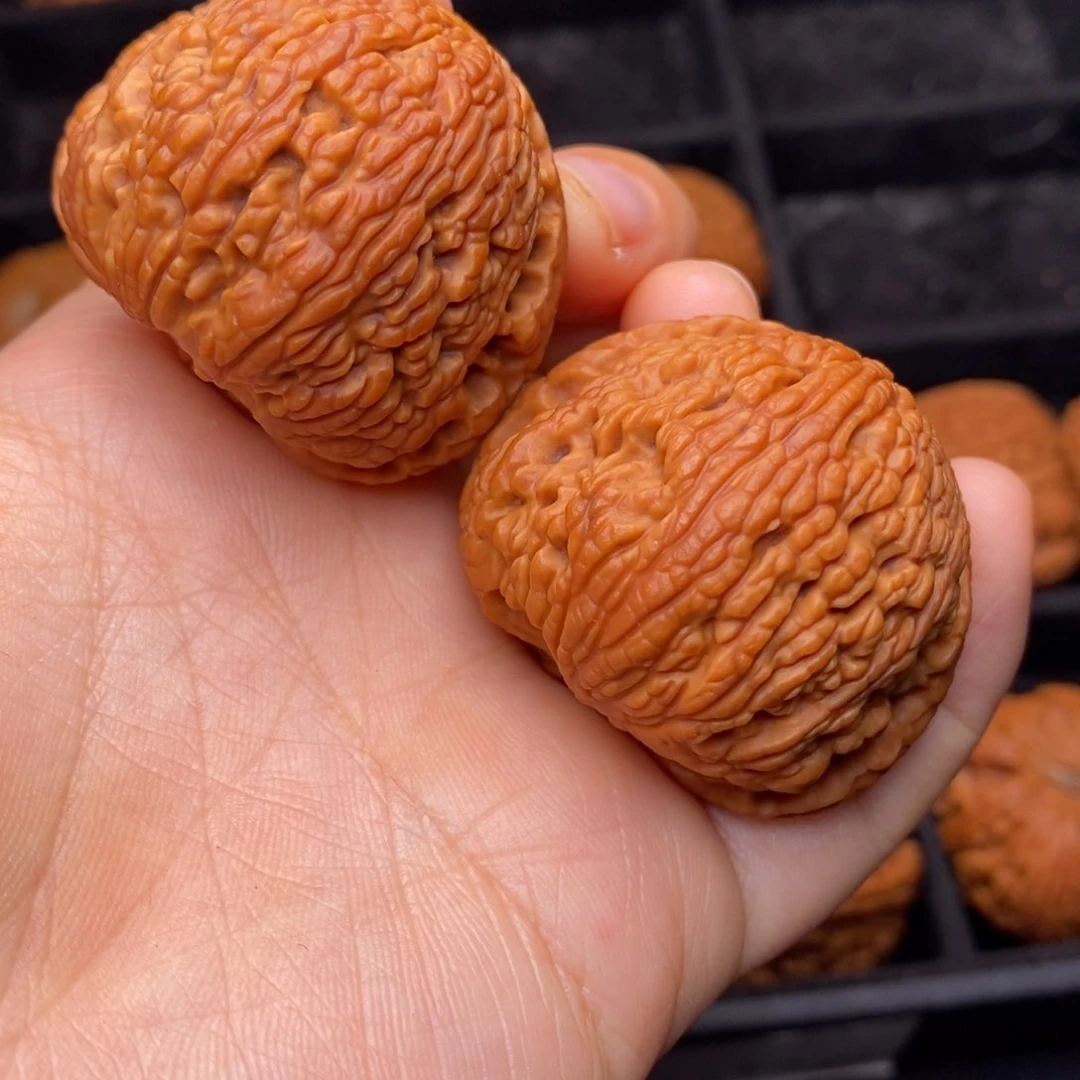 文玩核桃把件秦岭野生核桃