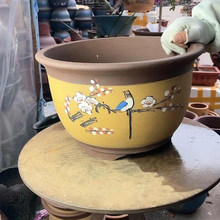 紫砂t005大花盆华华哦