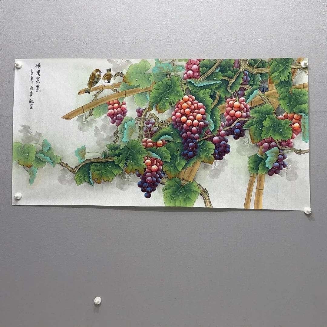 国画横幅四尺工笔葡萄贾敏