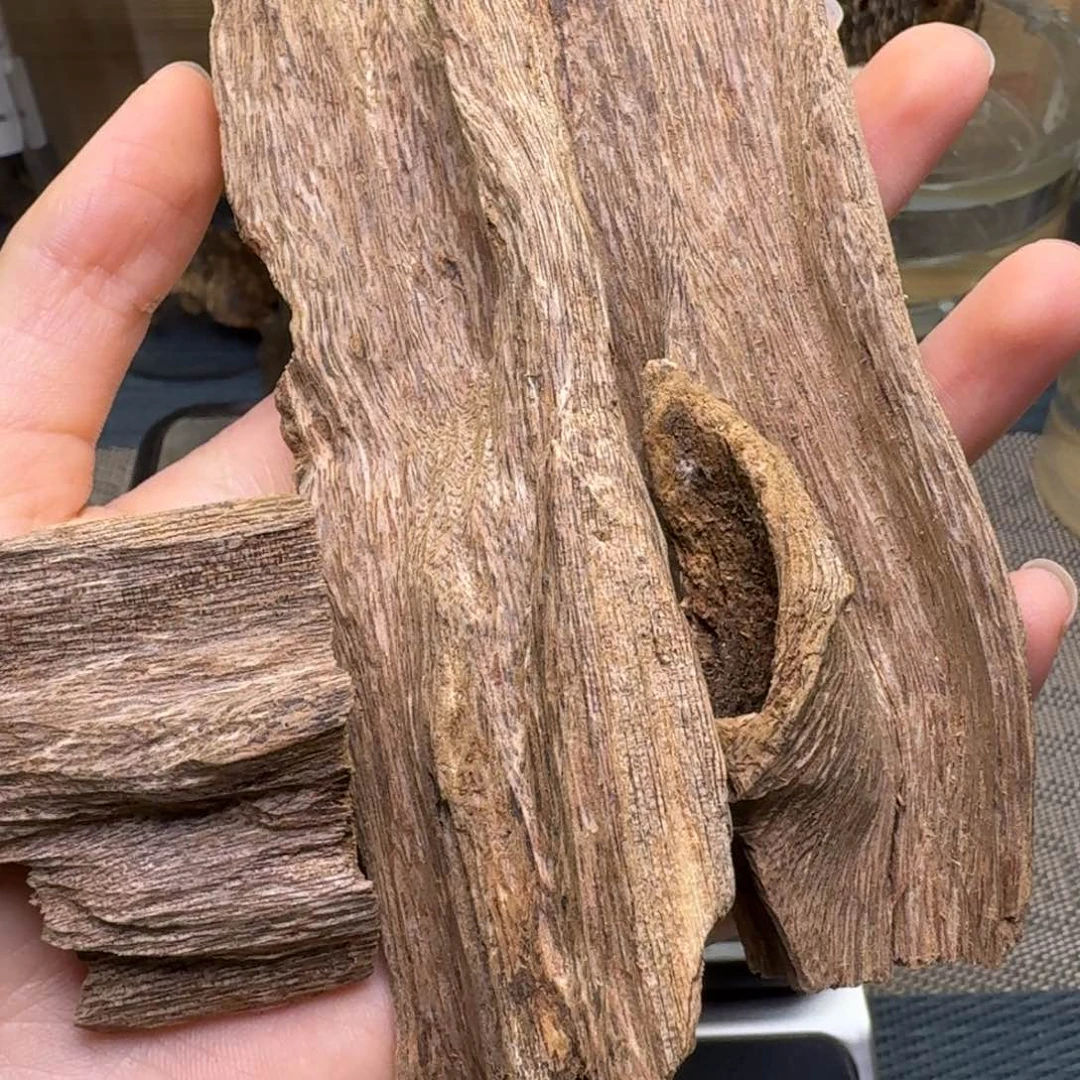 木海南大山虫漏38克