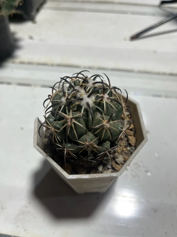 满18包邮 （钢钉）