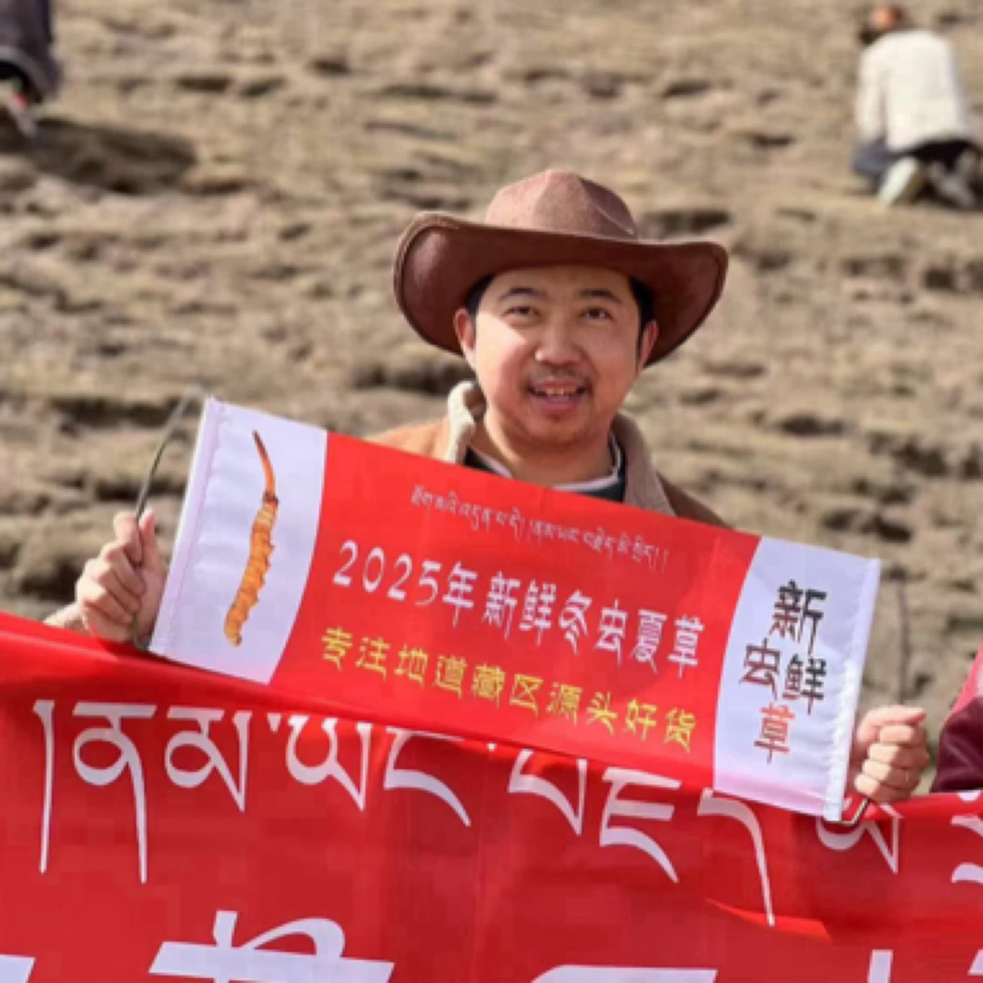 100【小扎西鲜草】新鲜冬虫夏草