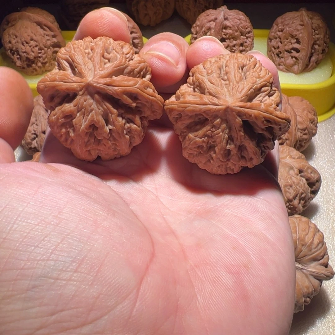 把件文玩核桃41粗筋