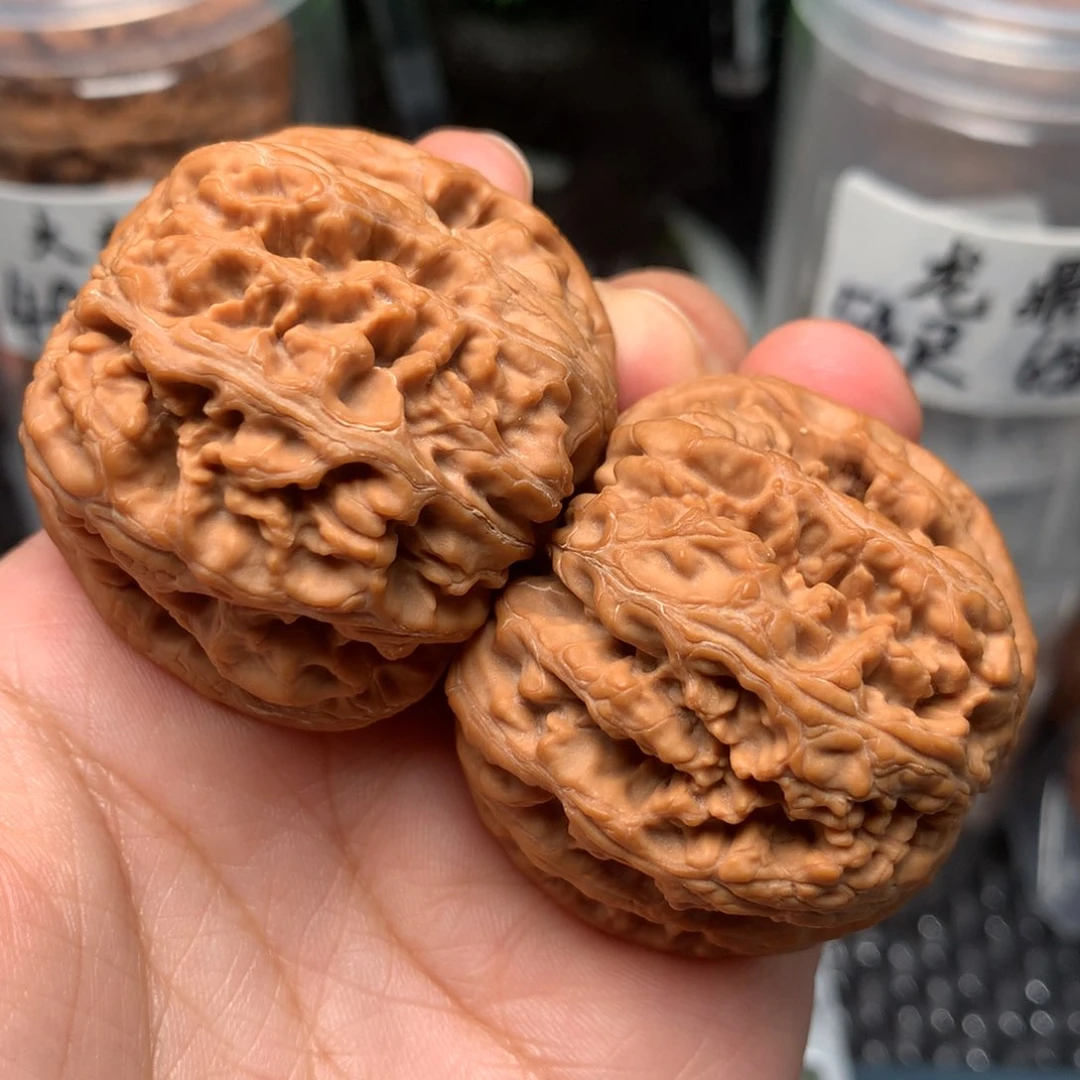 文玩核桃把件44-5864-5