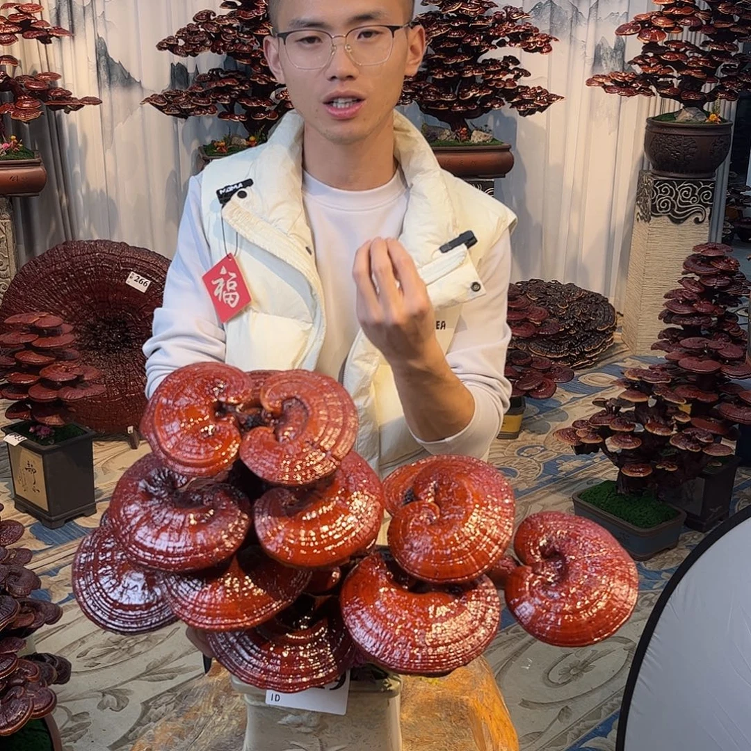 无花朵88888888888888