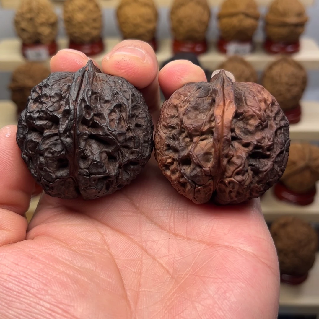 核桃文玩铁核桃赤天卧龙
