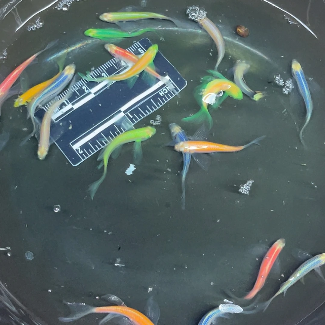 海星2-16号哈哈哈哈哈哈