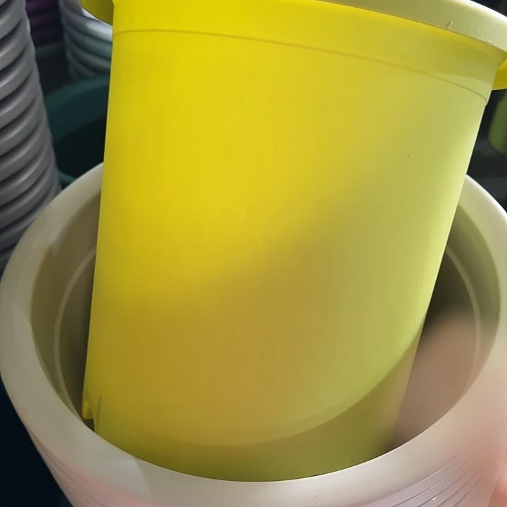 四季7号果绿无托6个特价微瑕