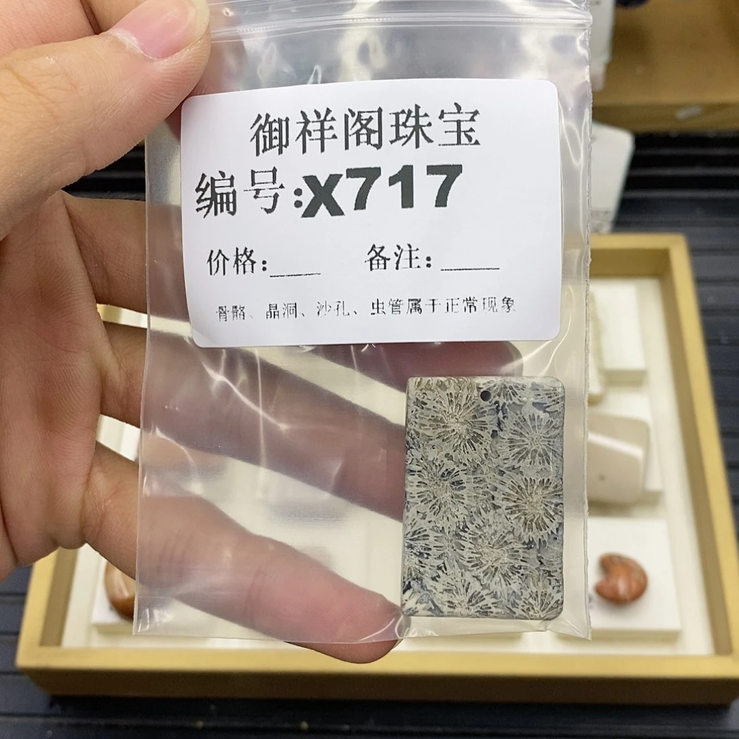 硅化珊瑚（珊瑚玉）未镶嵌颈饰。****。