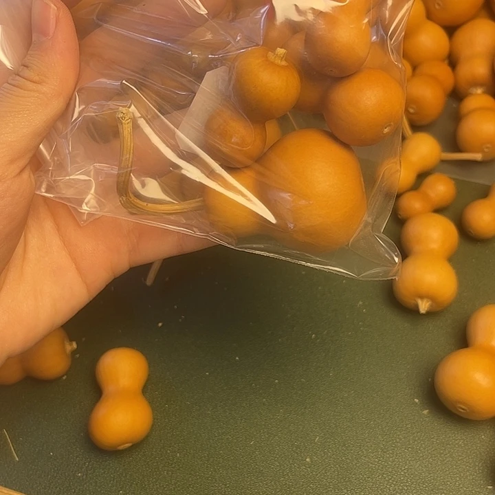 是*专拍专拍专拍专拍