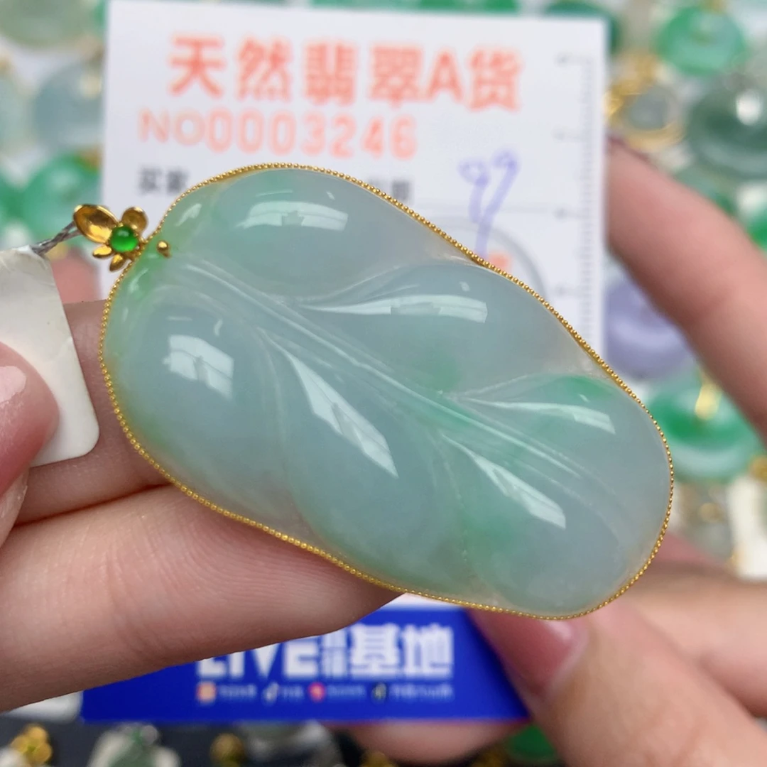 一***丽翡翠18K金镶嵌颈饰叶子
