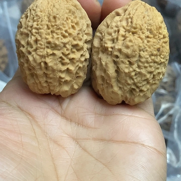 文玩核桃把件云南铁核桃基地13