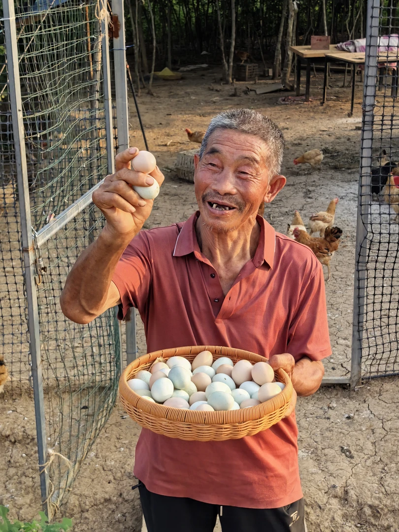乡情叔侄散养土鸡蛋50枚京东包邮