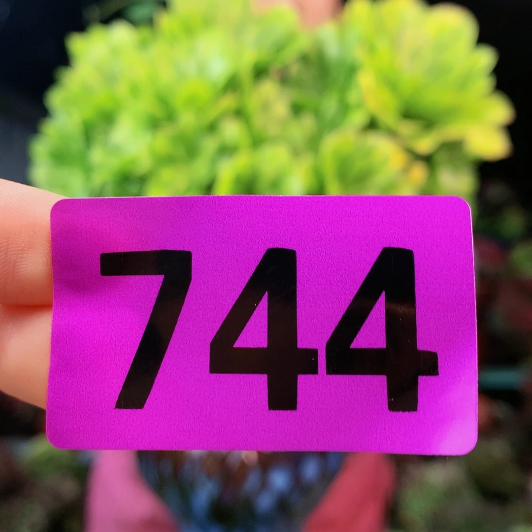 sssssssssssssssssssssss744