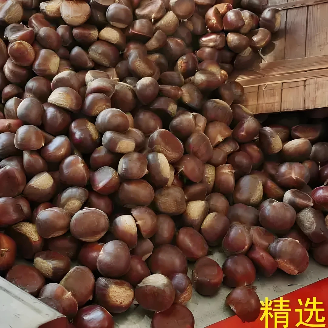 【好剥皮小板栗】贵州毕节纳雍高山本地板栗香甜软糯颗颗饱满