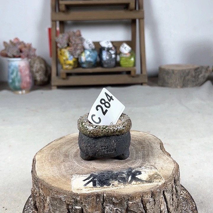 紫砂花盆陶瓷花盆 开播福利