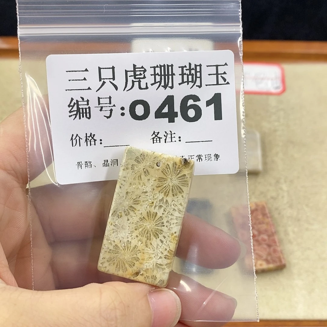 硅化珊瑚（珊瑚玉）1未镶嵌晴**月