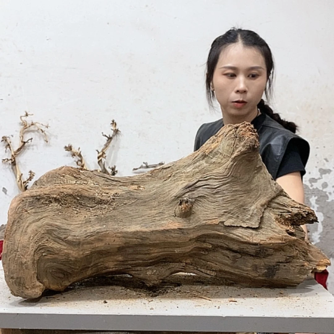 【闪购商品】柏木煌**雕我们都是好孩子