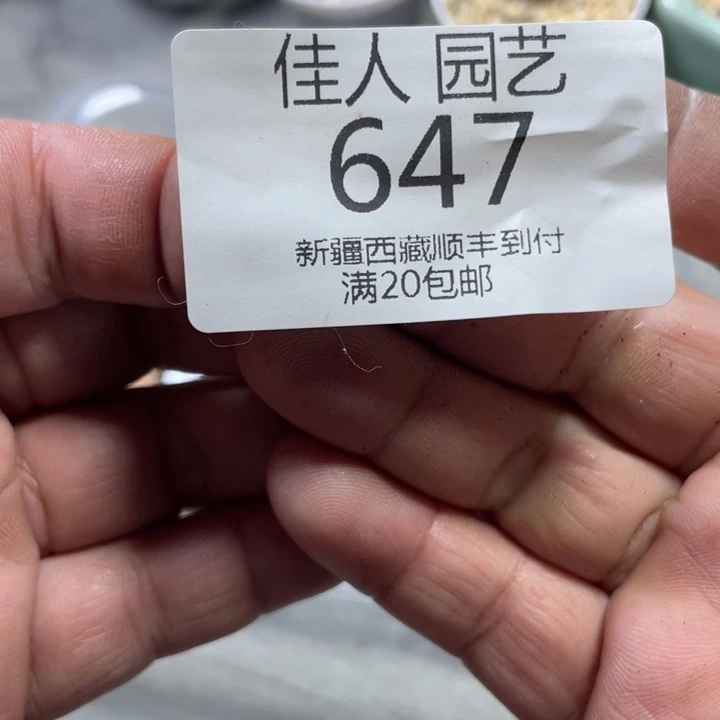 是**啊小王子是个小哥哥647