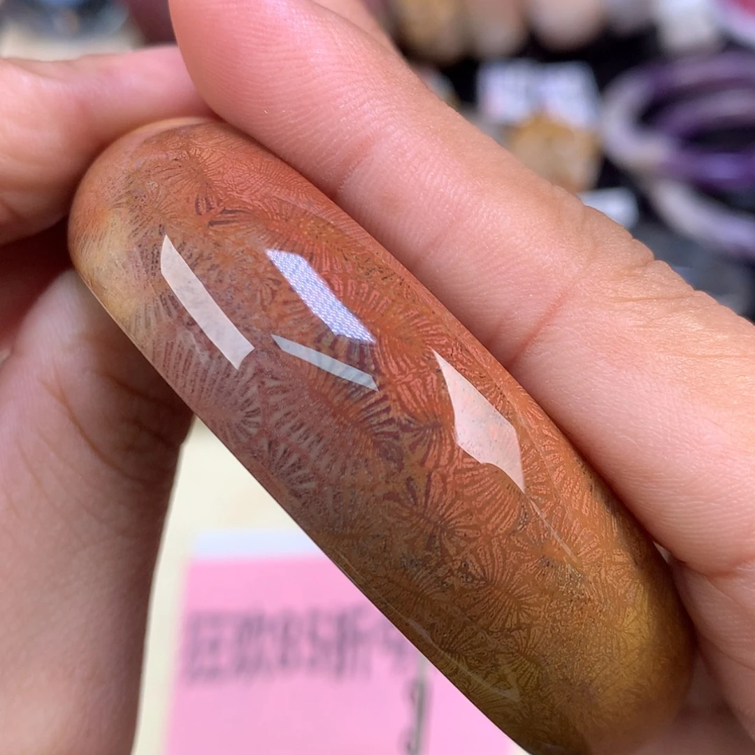 【闪购商品】颈饰未镶嵌硅化珊瑚（珊瑚玉）64号虫55.7圈