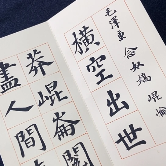 书法张建东老师书法作品