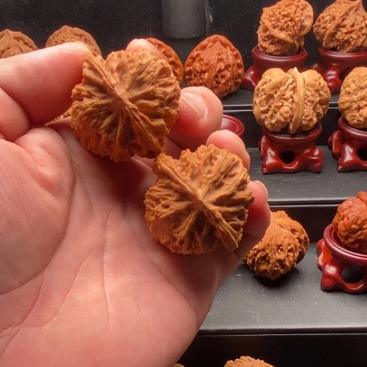 吊坠龙脊菩提全品41苹果