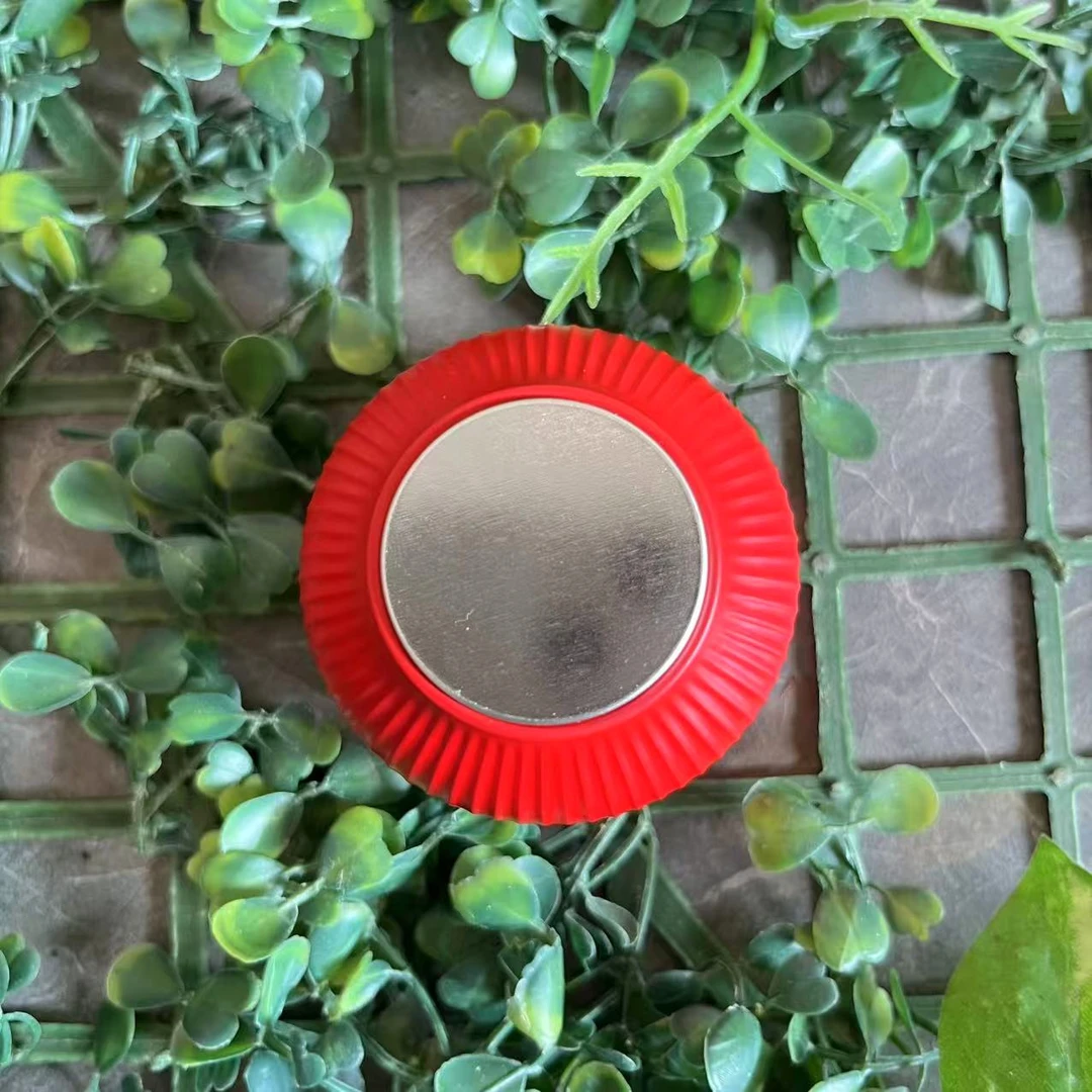 雨腾古茶   W双"吴氏W来F向 皮F"核J精H 30g/罐（11月22)