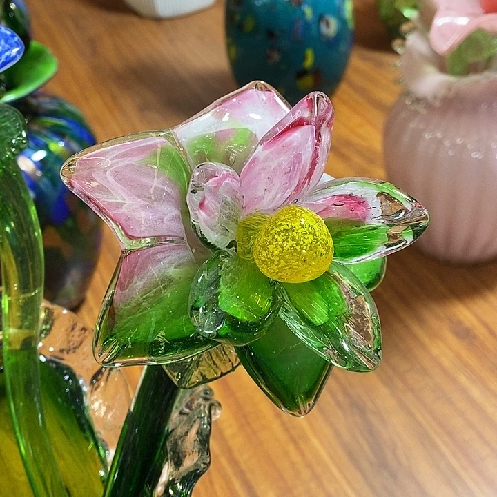 夜光花高45厘米宽12厘米