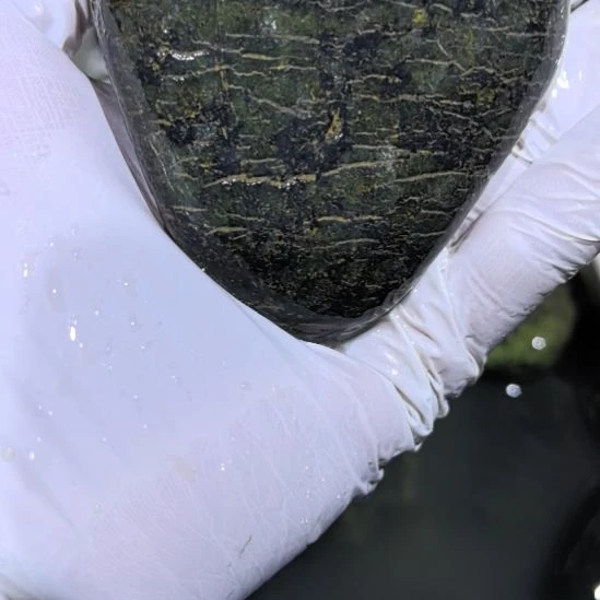 惊***鸿藏玉药王石原石一个