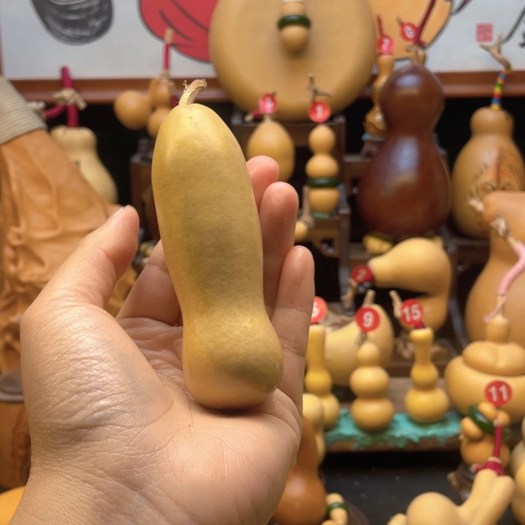 常**二大自然的秘密第十节第