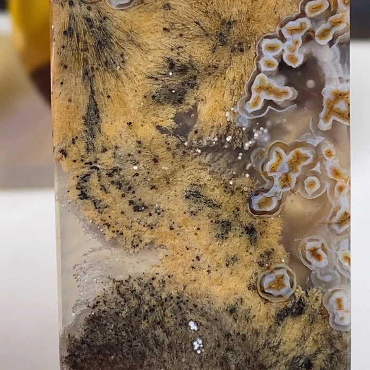 未镶嵌奇石玛瑙/玉髓树*