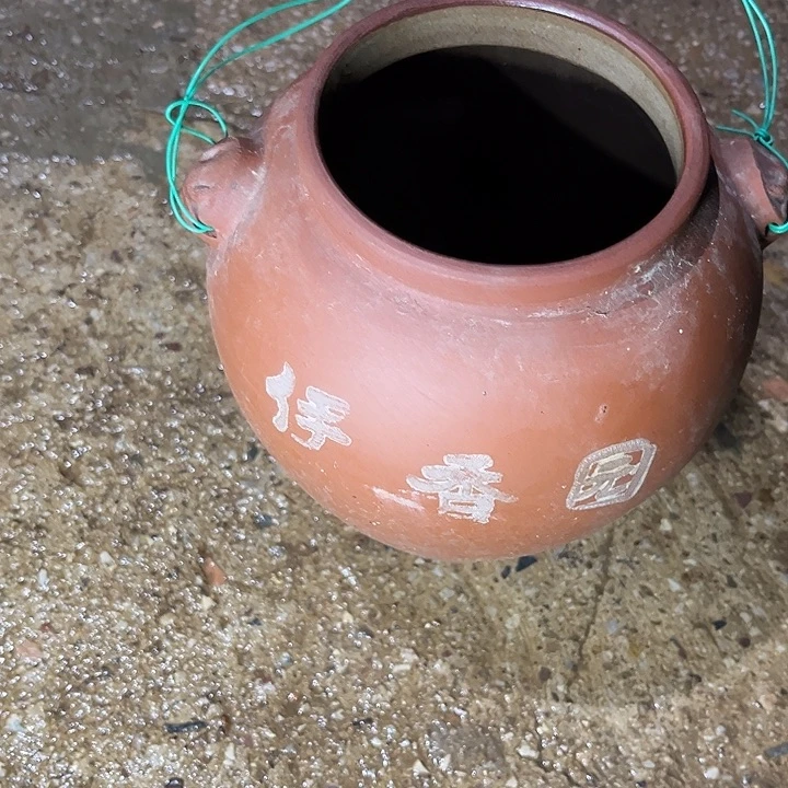 无花朵玫瑰花鲜花