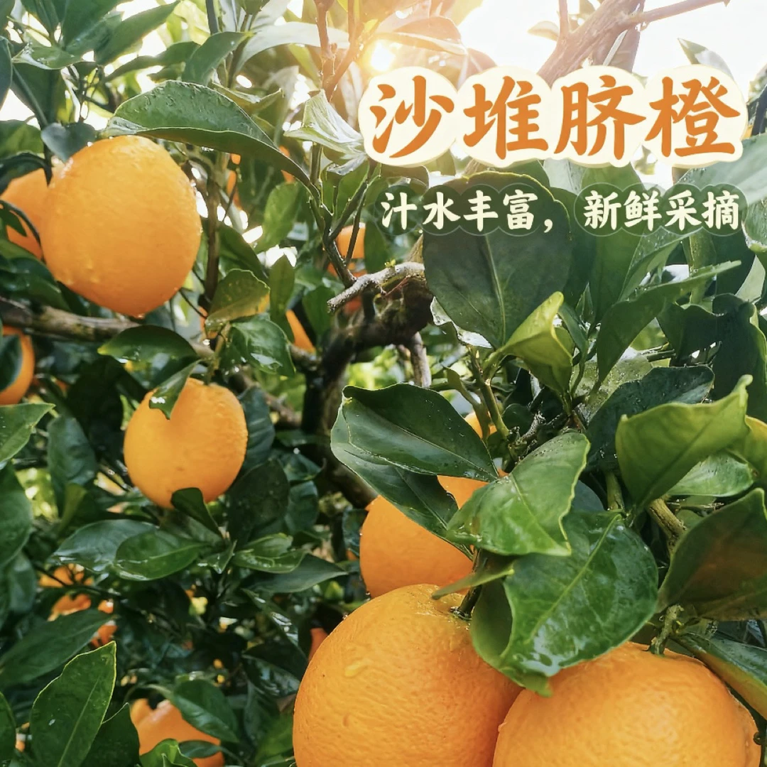 辰溪沙堆脐橙（10斤混果发货）