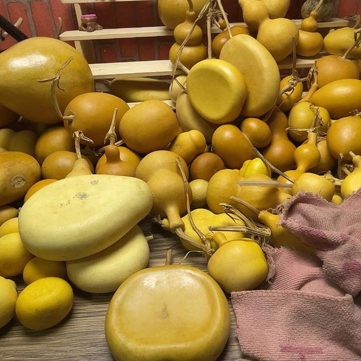 嚄***嚄哈哈哈哈哈斤斤计较哈哈