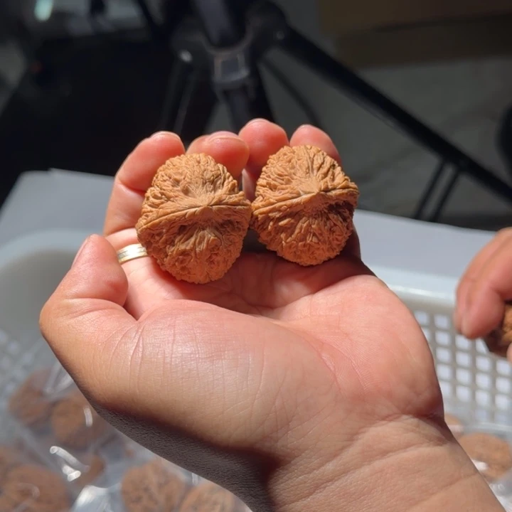 把件文玩核桃1041号全品宝瓶