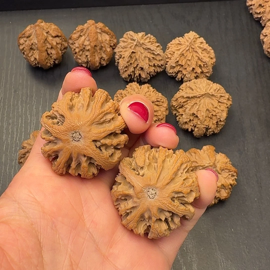 @***烟核桃突突突突突突我