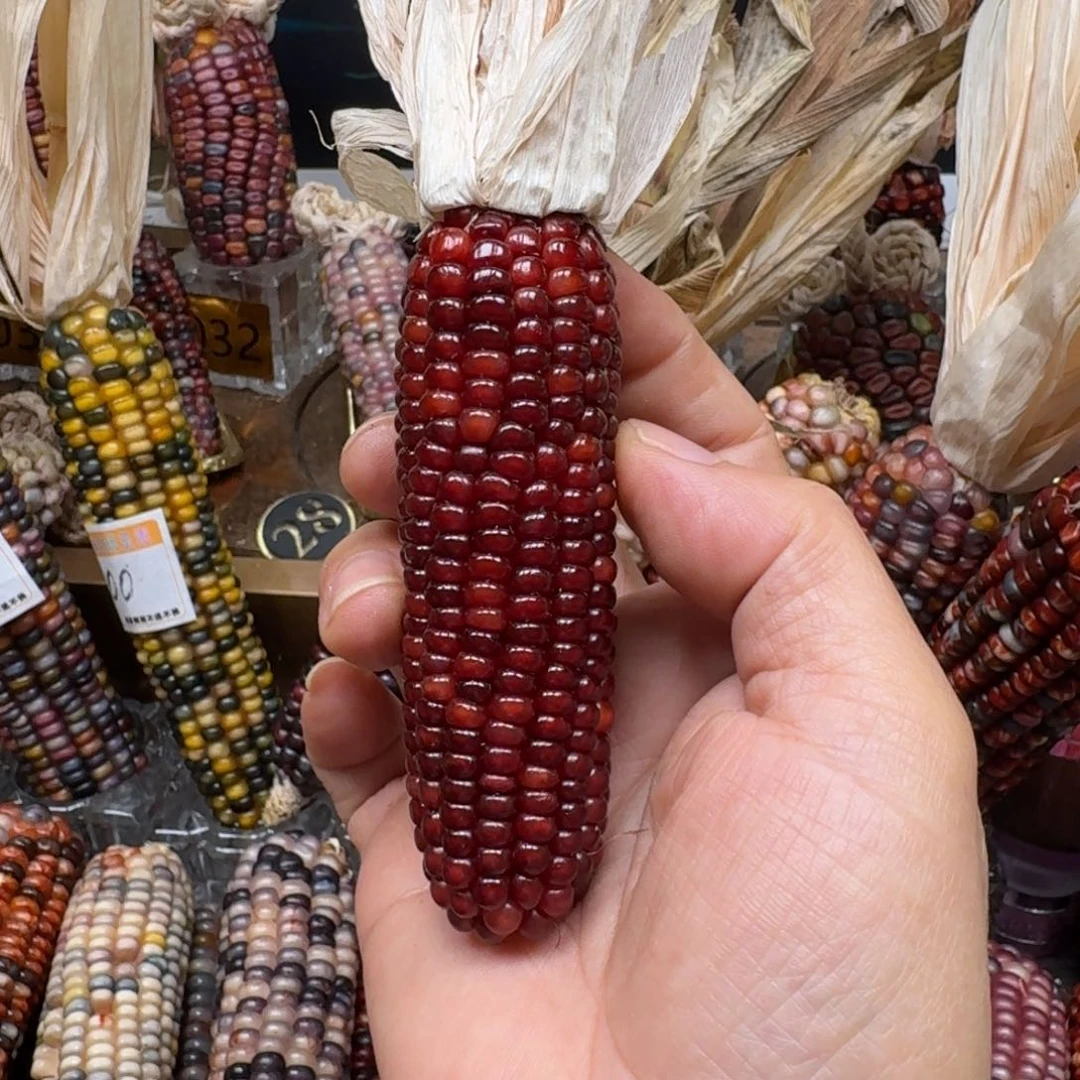 柏香籽/百香籽吊坠佩**姐