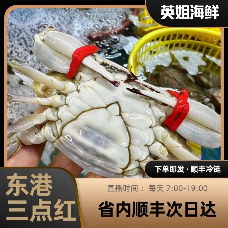 断氧三点红2斤起仅沈阳市内五区的【保鲜不保活】一只3-6两左右